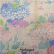 FloralPrintsChecks/21wHydrangea1.jpg