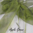 Organza/19wAppleGreen1.JPG